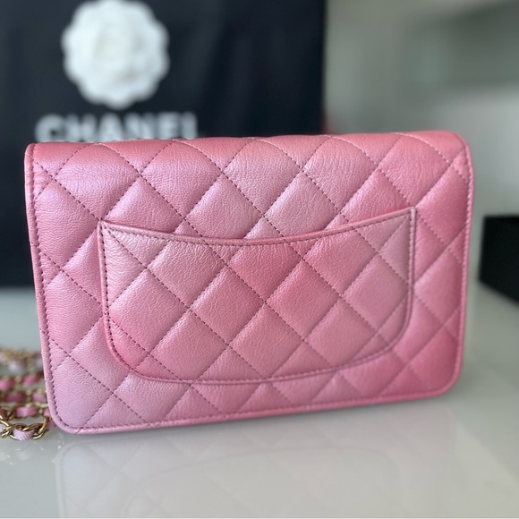 NEW UNBOXED RARE Cloudy pearly goatskin gold hardware iridescent pink - Picture 12 of 14